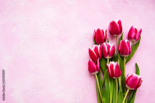 Fototapeta Naklejka Na Ścianę i Meble -  Pink spring tulips