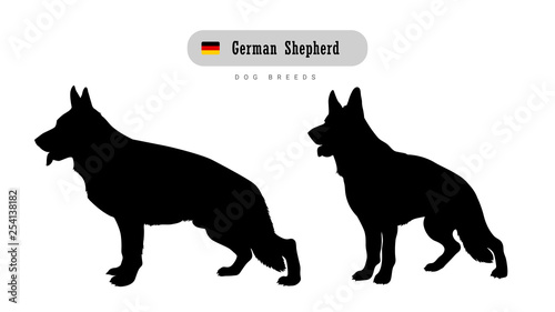 Dog breed German Shepherd. Side and front view silhouettes isolated on white background.