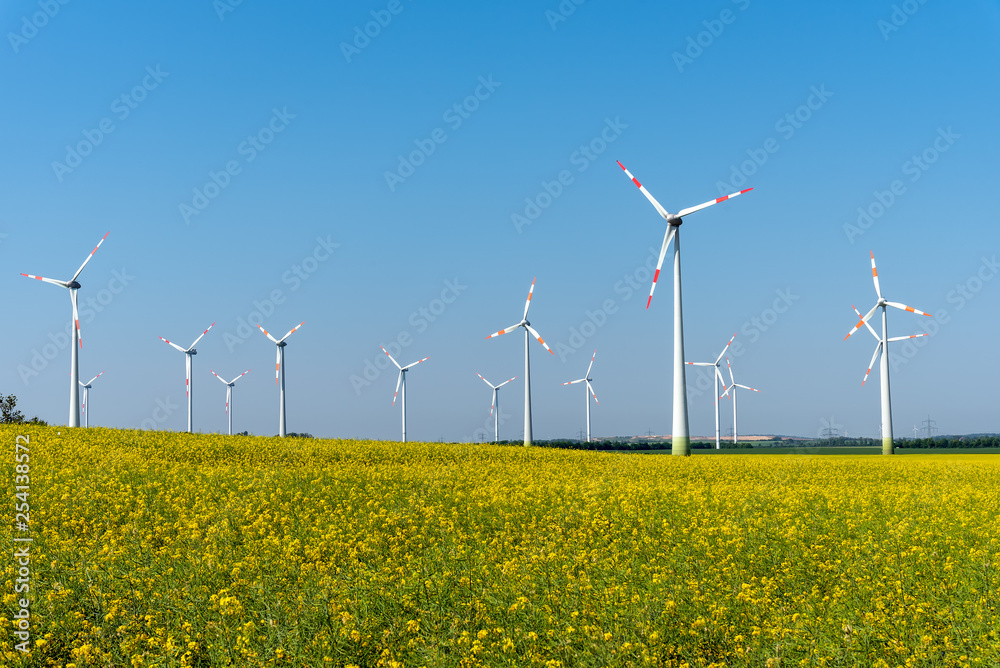 Flowering rapeseed with wind turbines in the back seen in Germany Flowering rapeseed with wind turbines in the back seen in Germany
