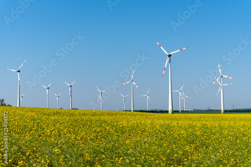 Flowering rapeseed with wind turbines in the back seen in Germany