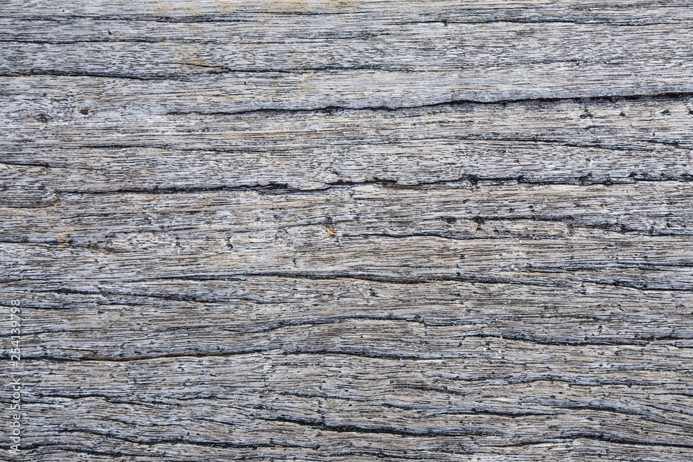 Abstract art pine wood texture Abstract art pine wood texture