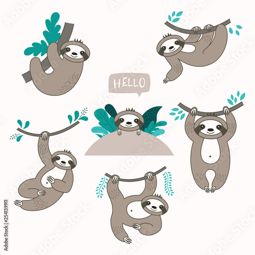 Vector set of cute sloths in different positions.