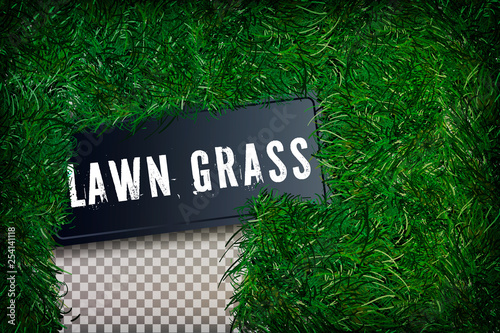 Grass square 3D. Beautiful green grassy field, isolated on white transparent background. Lawn abstract nature texture. Symbol natural, fresh, meadow plant, spring or summer Vector illustration