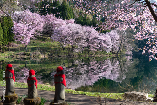 中綱湖の桜と地蔵