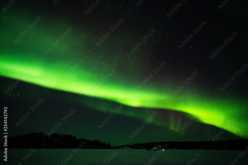 Northern lights (Aurora borealis) with starry sky above forest, Yellowknife, Canada
