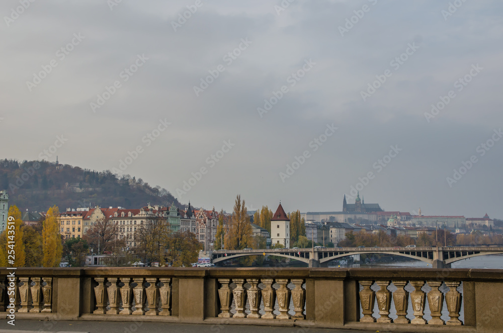 Fototapeta premium The Vltava river, The Vltava river, Charles bridge and white swans in Prague, Czech Republic in Prague, Czech Republic