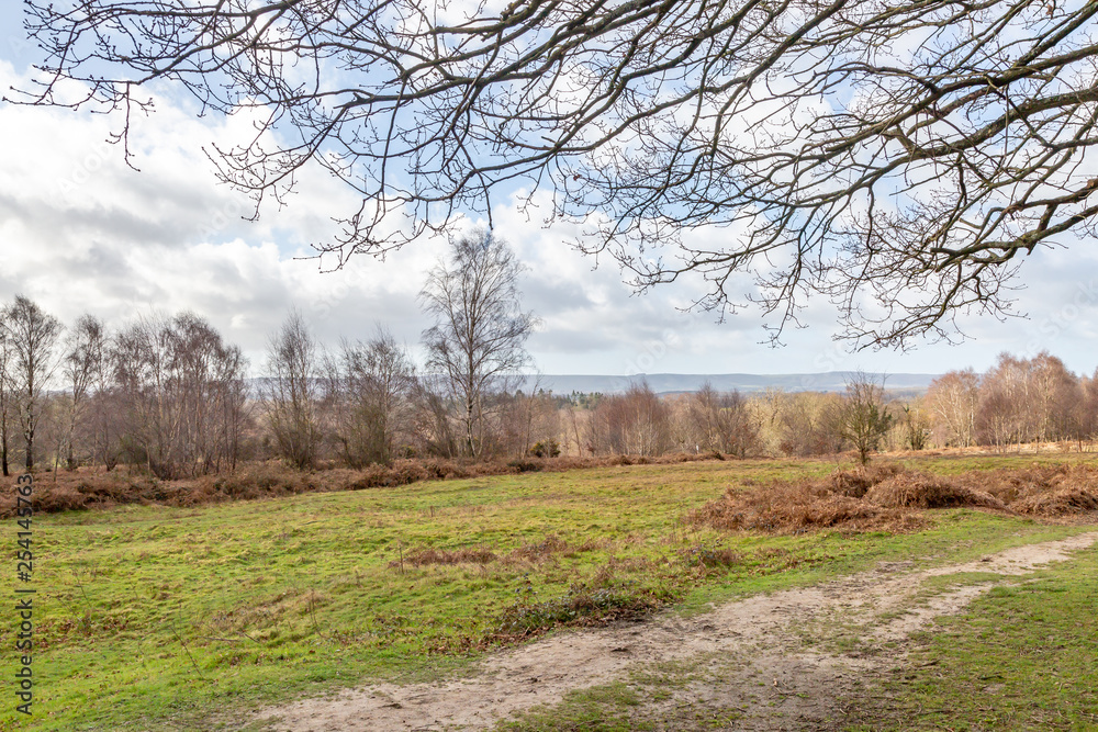 Chailey Common in Sussex on a late winters day Chailey Common in Sussex on a late winters day