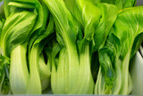 Choy Sum or Bok choy or chinese cabbage vegetable