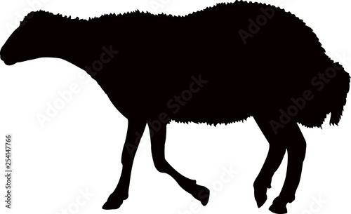 a sheep body silhouette vector