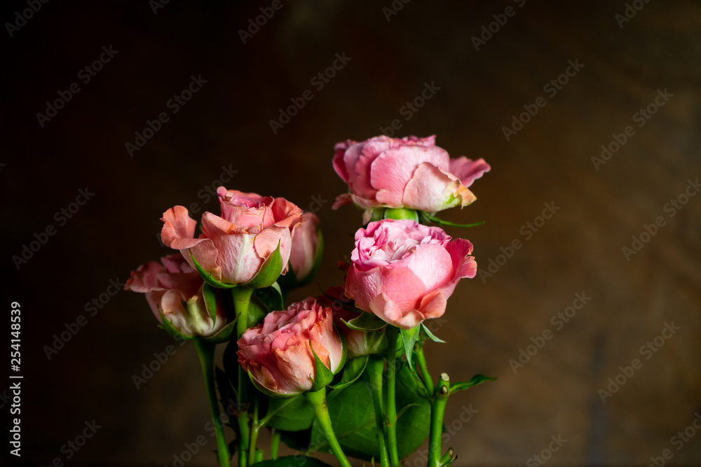 pink small roses 
