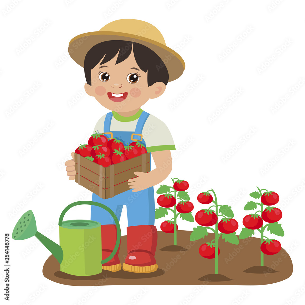 Cute Cartoon Boy With Harvest Tomato. Young Farmer Working In The