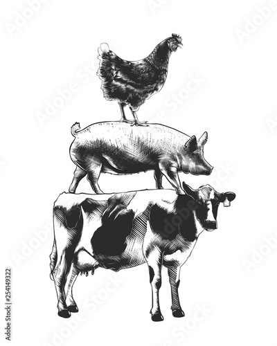 Vector engraved style farm animals collection for posters, decoration and print, logo. Hand drawn sketches of monochrome isolated on white background. Detailed vintage woodcut style drawing.