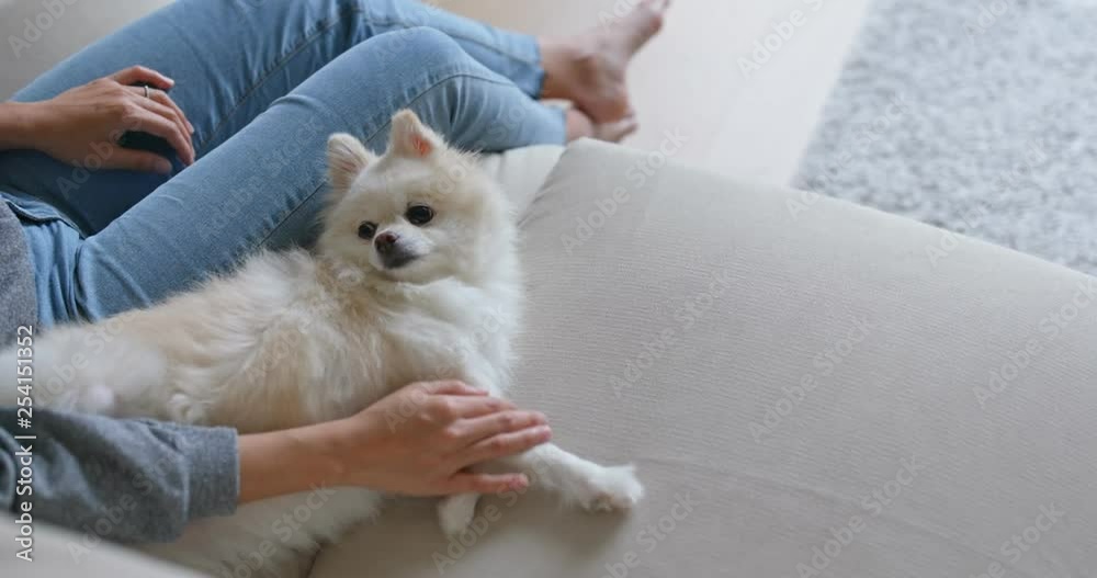 Woman cuddling on her pomeranian dog Woman cuddling on her pomeranian dog