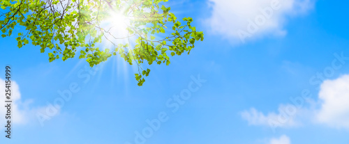 frühling unterm baum photo