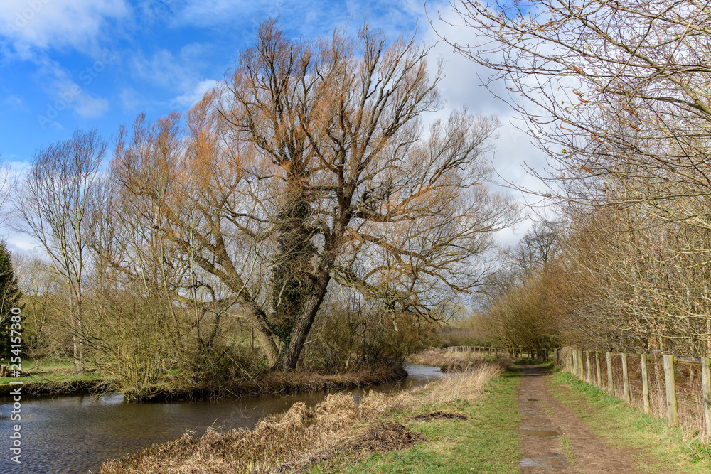 A footpath in the Cotswolds, in the United Kingdom. There is a muddy path, and a tree on a small island in the middle of the river. Taken between the villages of Lower and Upper Slaughter.