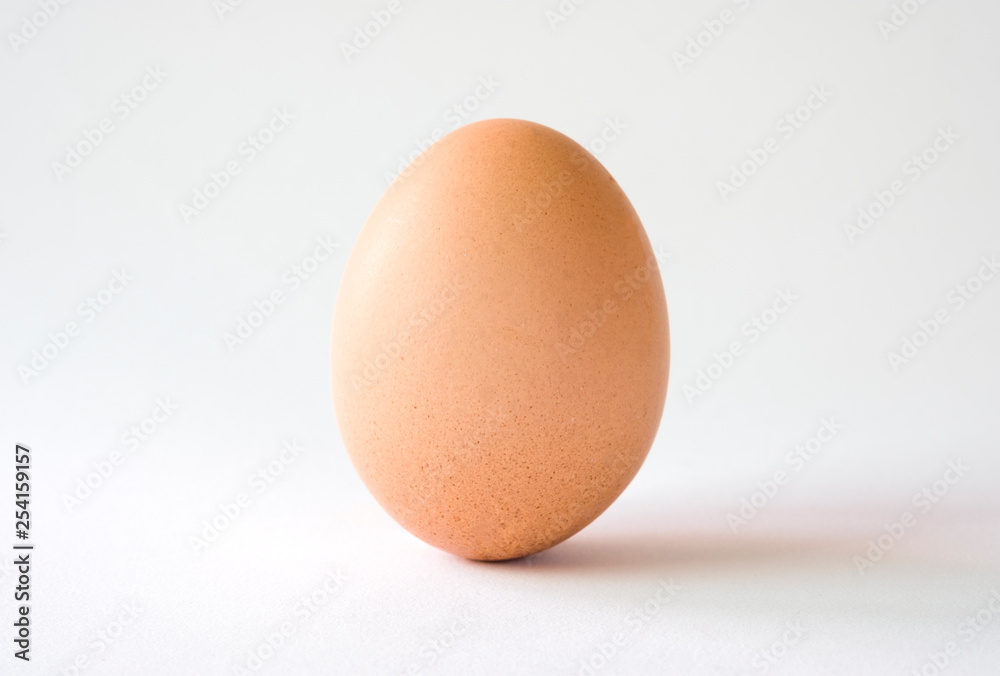 Isolated of chicken egg on white background.-Image. Isolated of chicken egg on white background.-Image.