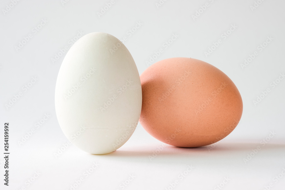 Isolated of chicken egg and duck egg on white background.-Image.