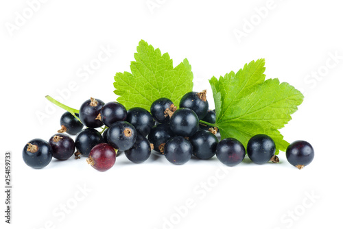 Small pile of fresh black currant berries
