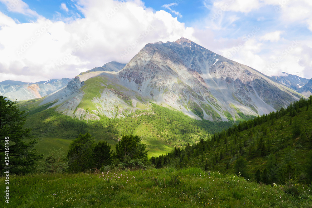 Altai mountain meadows landscape. Summer in Altai mountains Altai mountain meadows landscape. Summer in Altai mountains