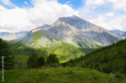 Wallpaper Mural Altai mountain meadows landscape. Summer in Altai mountains Torontodigital.ca