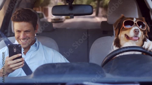 Dog driving a car on a suburban street wearing funny sunglasses with a handsome man, wide shot photo