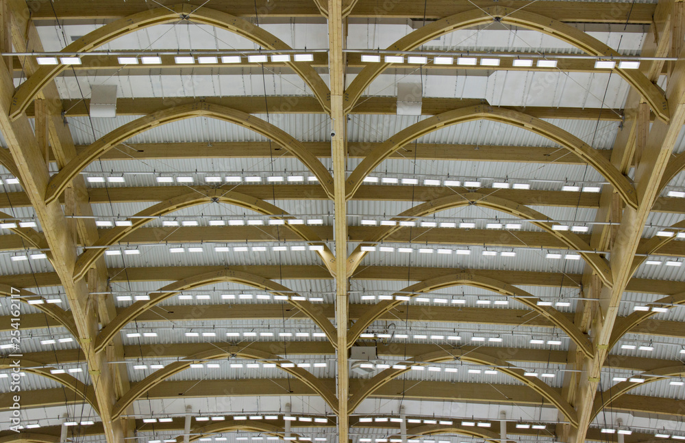 The ceiling of the arena with spotlights.