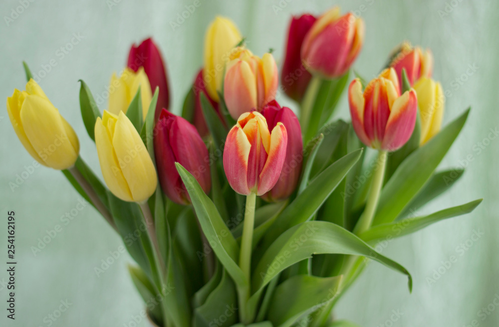 Bouquet with tulips.