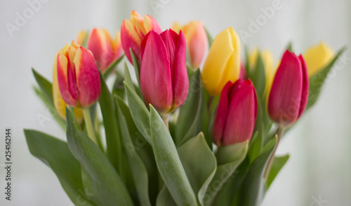 Fototapeta Naklejka Na Ścianę i Meble -  Bouquet with tulips.