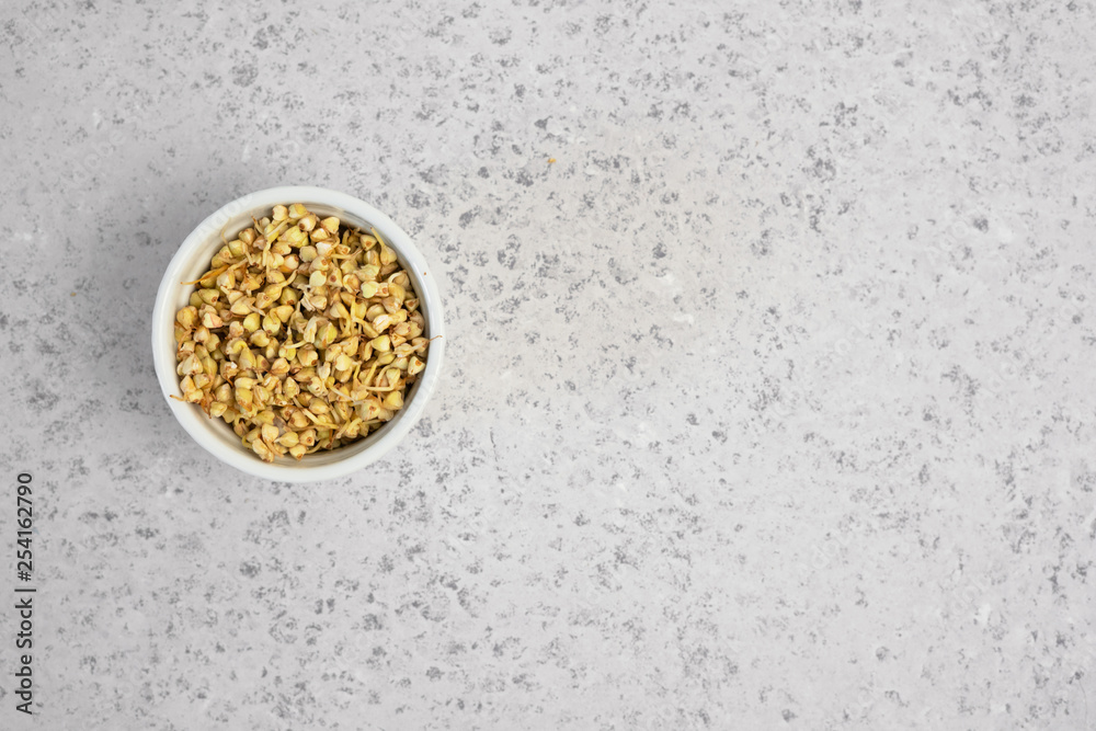Green germinated buckwheat on grey backround. Raw buckwheat. Useful food from buckwheat sprouts for vegetarian food. Green germinated buckwheat on grey backround. Raw buckwheat. Useful food from buckwheat sprouts for vegetarian food.
