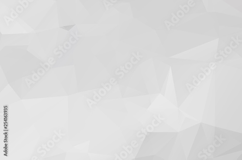 Gray White polygonal illustration  which consist of triangles. Geometric background in Origami style with gradient. Triangular design for your business.