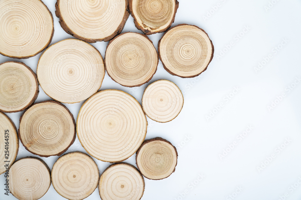 Pine tree cross-sections with annual rings on white background. Lumber piece close-up shot, top view. Pine tree cross-sections with annual rings on white background. Lumber piece close-up shot, top view.