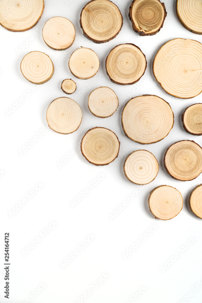 Pine tree cross-sections with annual rings on white background. Lumber piece close-up shot, top view. Pine tree cross-sections with annual rings on white background. Lumber piece close-up shot, top view.