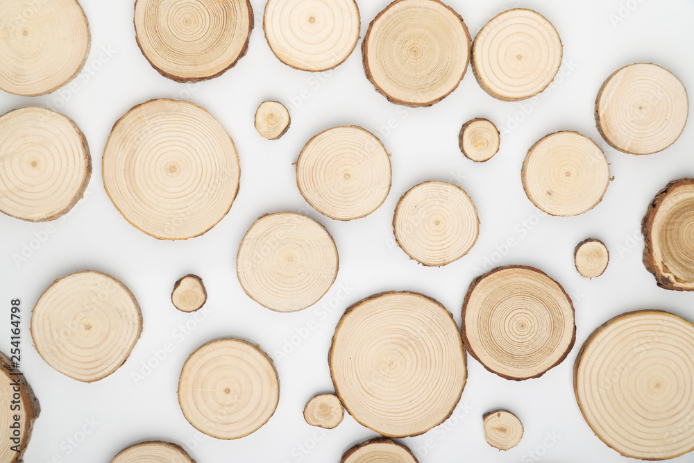 Pine tree cross-sections with annual rings on white background. Lumber piece close-up shot, top view. Pine tree cross-sections with annual rings on white background. Lumber piece close-up shot, top view.
