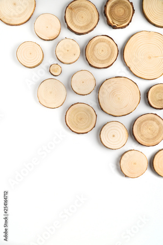 Pine tree cross-sections with annual rings on white background. Lumber piece close-up shot, top view.