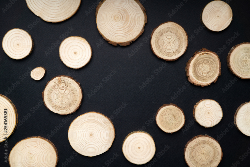 Pine tree cross-sections with annual rings on black background. Lumber piece close-up shot, top view. Pine tree cross-sections with annual rings on black background. Lumber piece close-up shot, top view.
