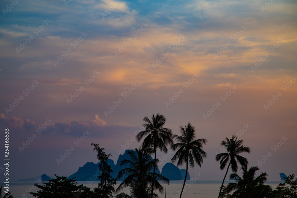 Palm trees and tropical island on evening sky background at sunset