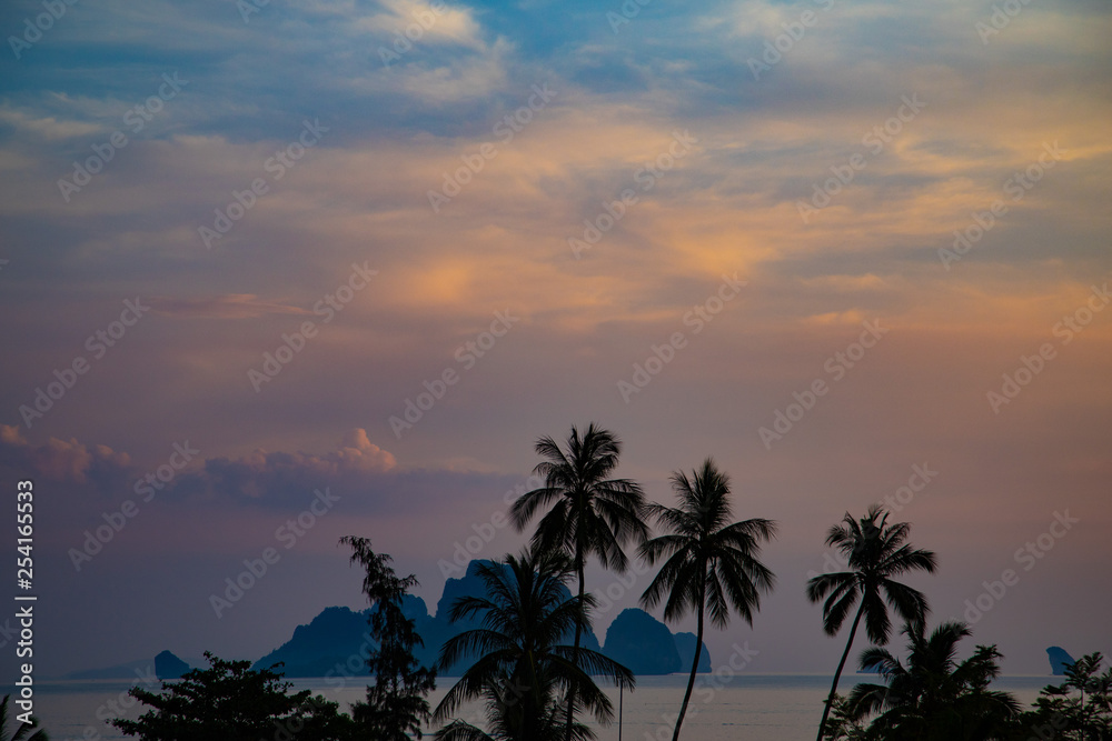 Palm trees and tropical island on evening sky background at sunset Palm trees and tropical island on evening sky background at sunset
