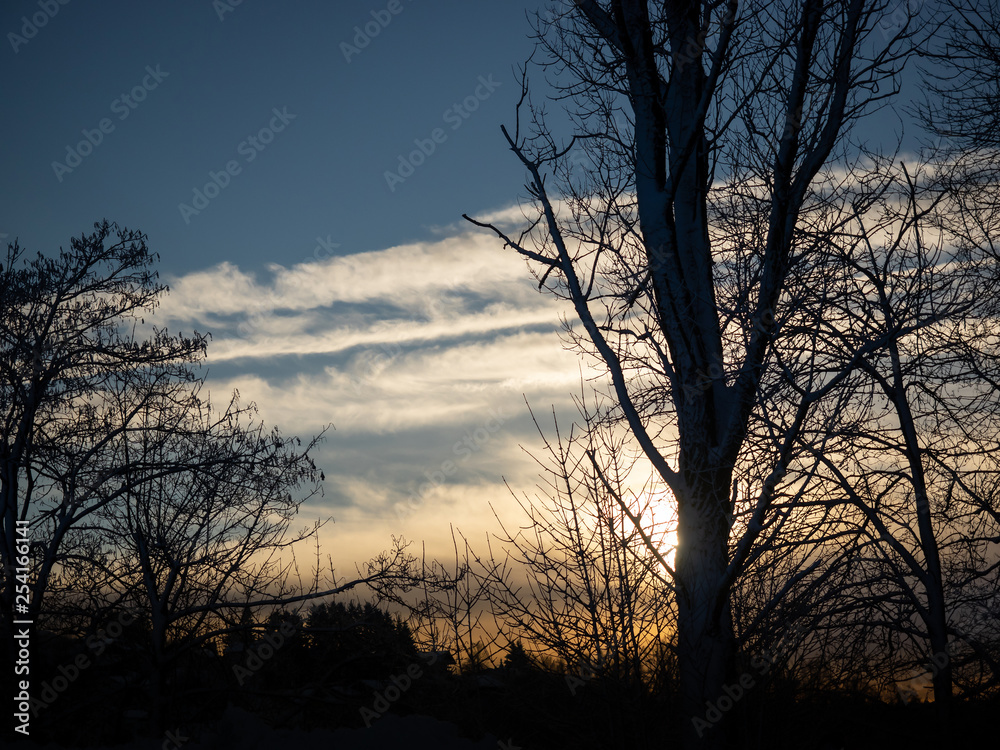 A wonderful winter landscape in beautiful Bavaria A wonderful winter landscape in beautiful Bavaria