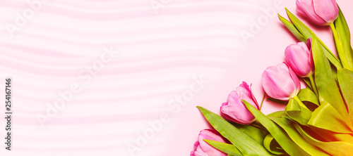 Fototapeta Naklejka Na Ścianę i Meble -  Pink tulips on pink spring background, top view, flat lay. Copy space for text