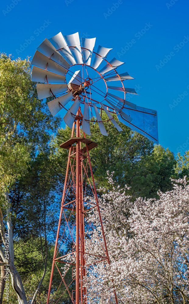 windmill on blue sky on a spring morning