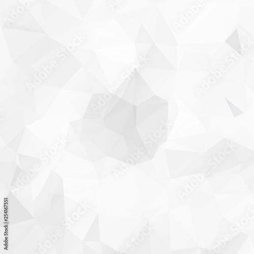 Gray White geometric rumpled triangular low poly origami style gradient illustration graphic background. Vector polygonal design for your business. © ImagineWorld