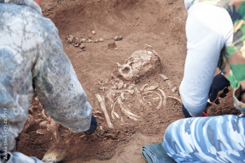 Archaeological excavations. Two archaeologists in a digger process. Close up hands with tools conducting research on human bones, part of skeleton and skull in the ground. Outdoors.