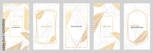 Vector design template in simple modern style with copy space for text and palm leaves  - wedding invitation backgrounds and frames,  social media stories wallpapers