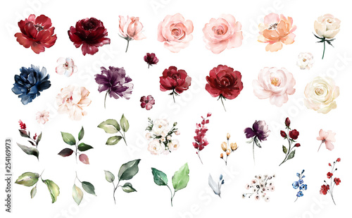 Fotografia Set watercolor elements of roses collection garden red, burgundy flowers, leaves, branches, Botanic  illustration isolated on white background