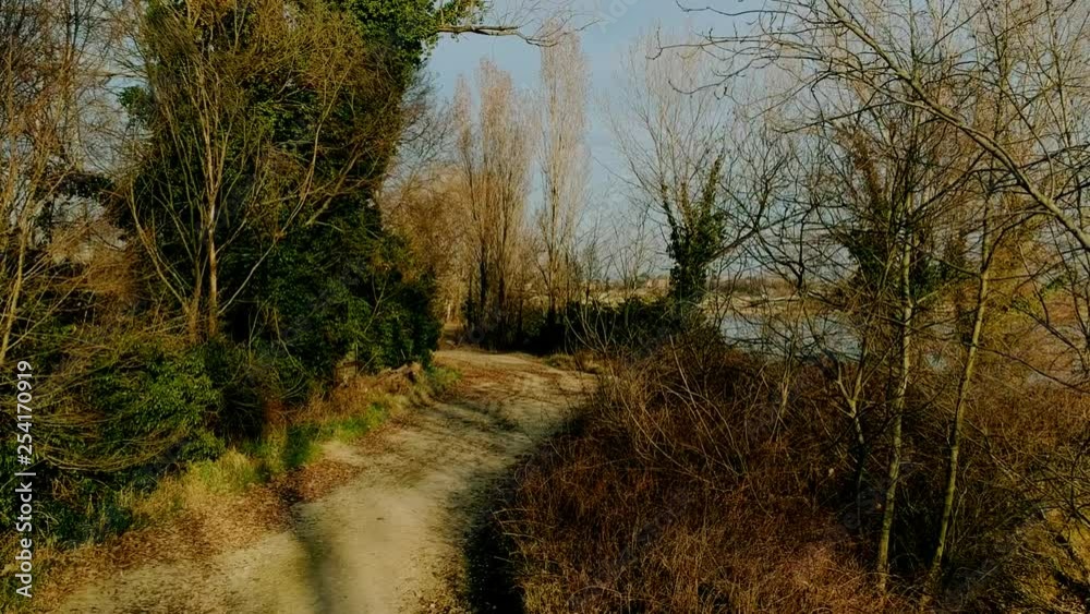 bosco e lago bosco e lago