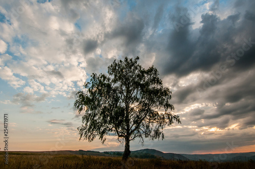 a lonely tree on top of a rock under a heavy cloudy sky illuminated by the sun rising from the horizon