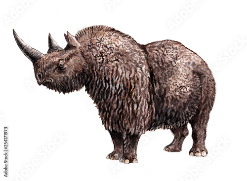 Woolly rhinoceros illustration. Prehistoric animals. 