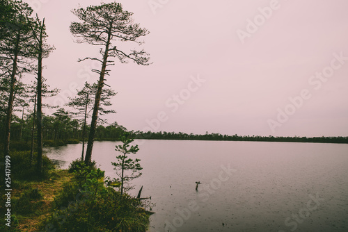 Rainy forest lake