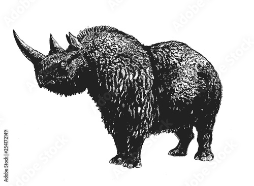 Woolly rhinoceros isolated illustration. Prehistoric animals. 