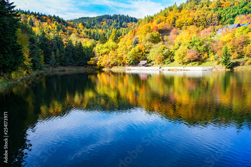 Fototapeta Naklejka Na Ścianę i Meble -  Beautiful reflection of colorful trees in water of lake during autumn